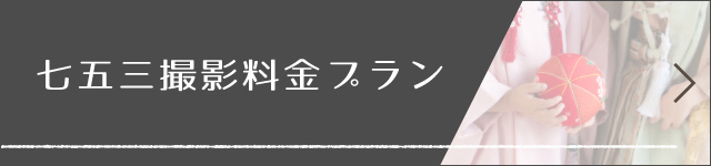 撮影料金プランページへ