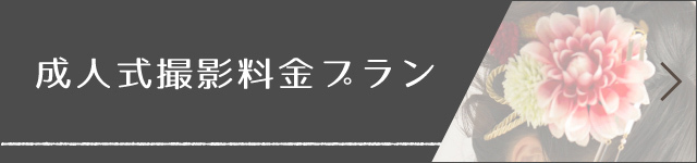 撮影料金プランページへ